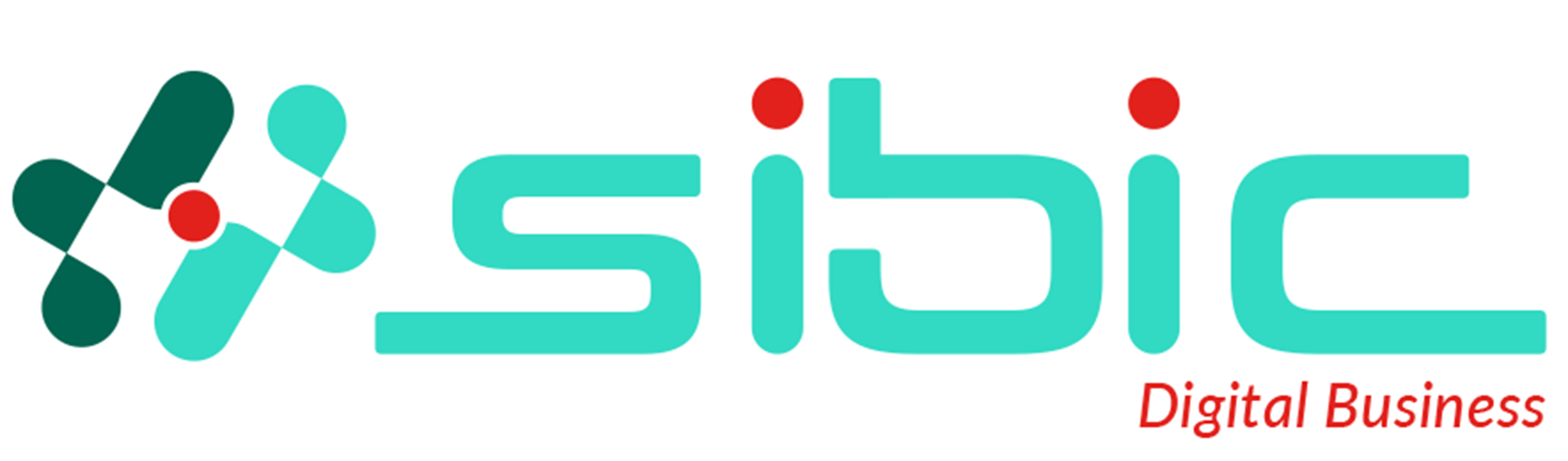 SIBIC Odoo